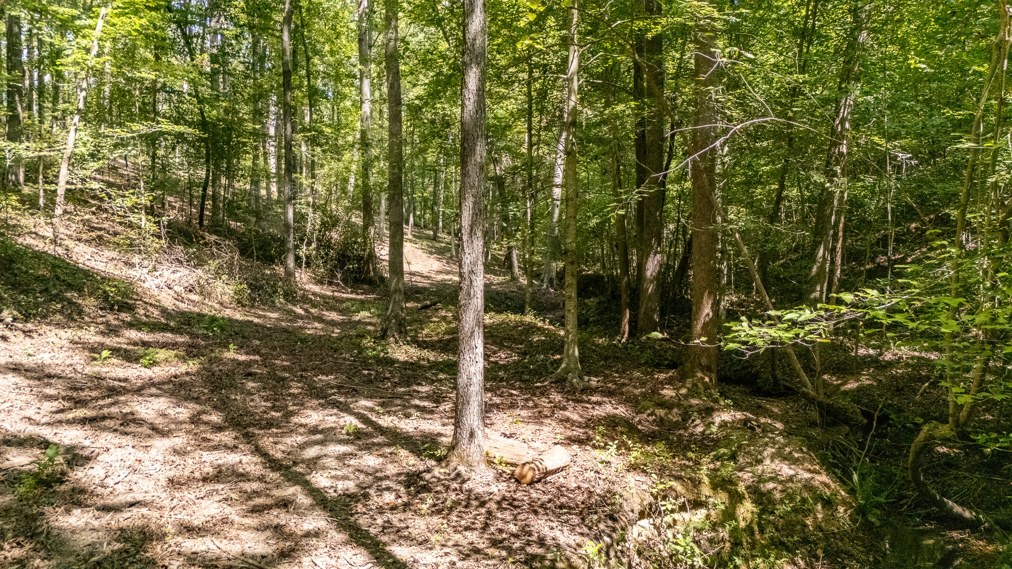 1239 Cherokee Road Waynesboro, TN 38485 - Photo 62 of 62 Gallery Image 62
