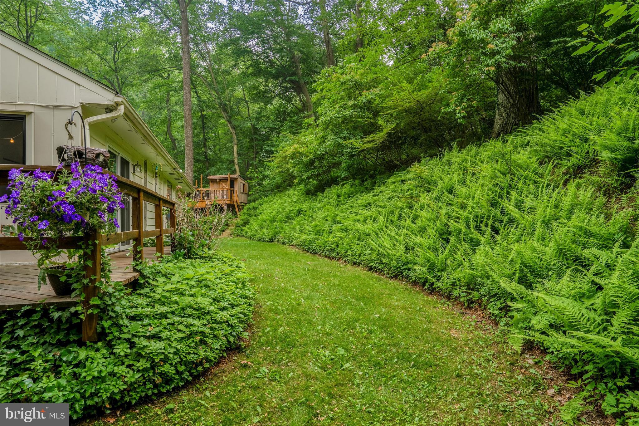 982 Dale Road Jenkintown, PA 19046 - Photo 32 of 36 Rear Yard.