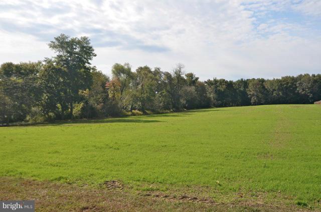 831 Dudley Corners Road Chestertown, MD 21620 - Photo 23 of 24 Field view