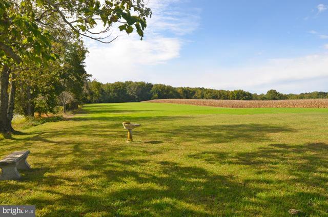 831 Dudley Corners Road Chestertown, MD 21620 - Photo 4 of 24 View of fields and corn