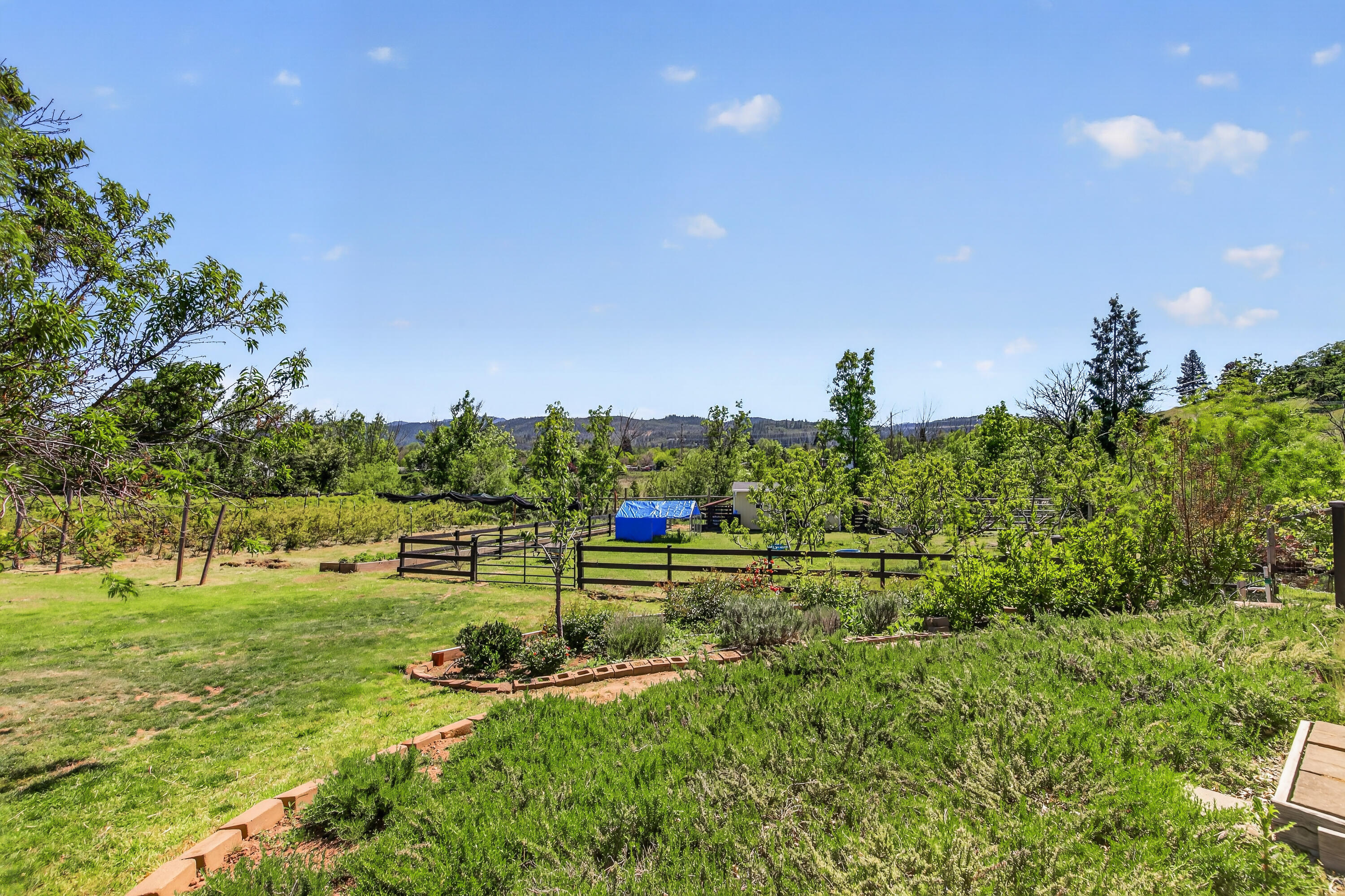 670 Old Stage Road Central Point, OR 97502 - Photo 52 of 79 9R9A7386