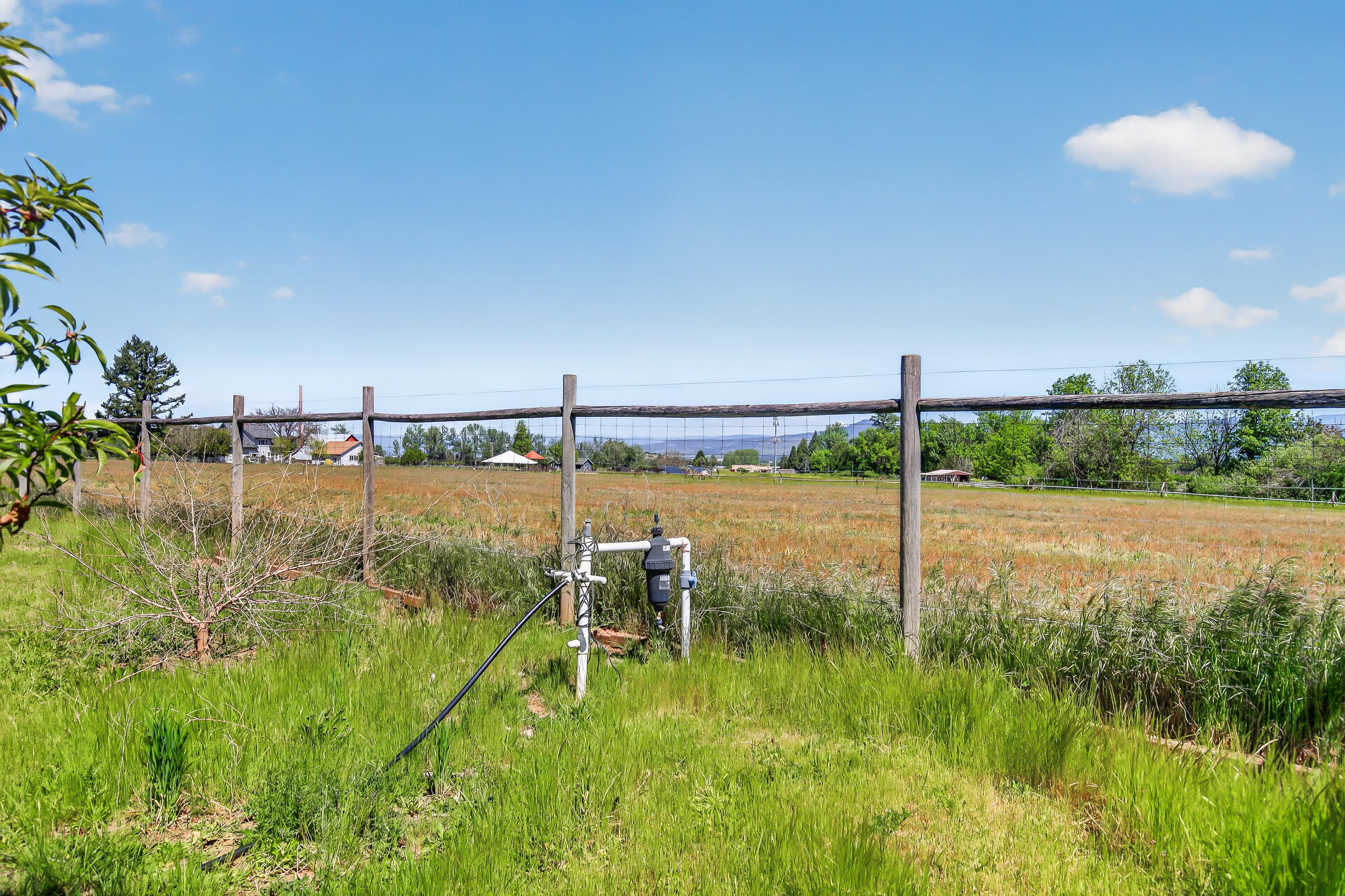 670 Old Stage Road Central Point, OR 97502 - Photo 53 of 79 9R9A7424