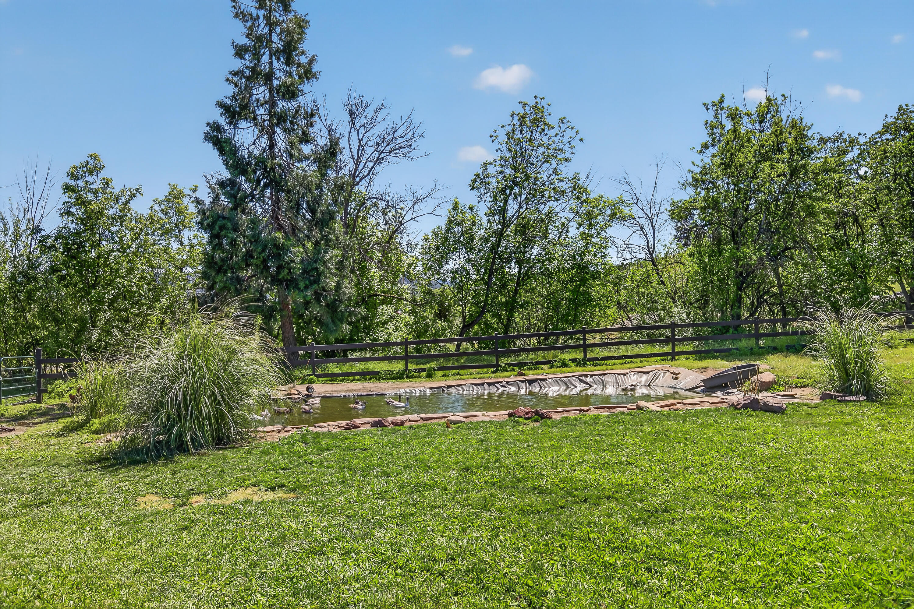 670 Old Stage Road Central Point, OR 97502 - Photo 55 of 79 9R9A7468