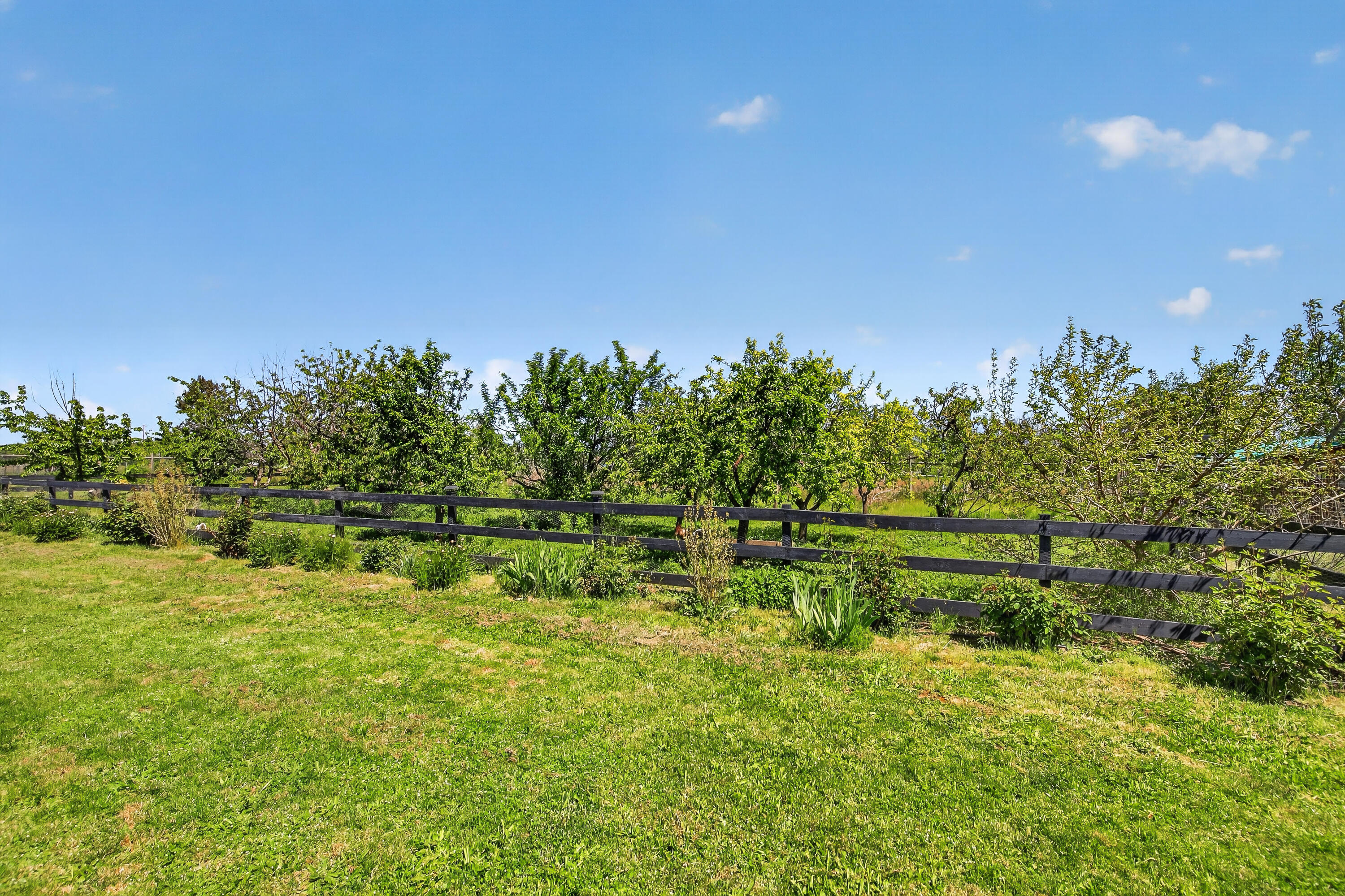 670 Old Stage Road Central Point, OR 97502 - Photo 58 of 79 9R9A7419