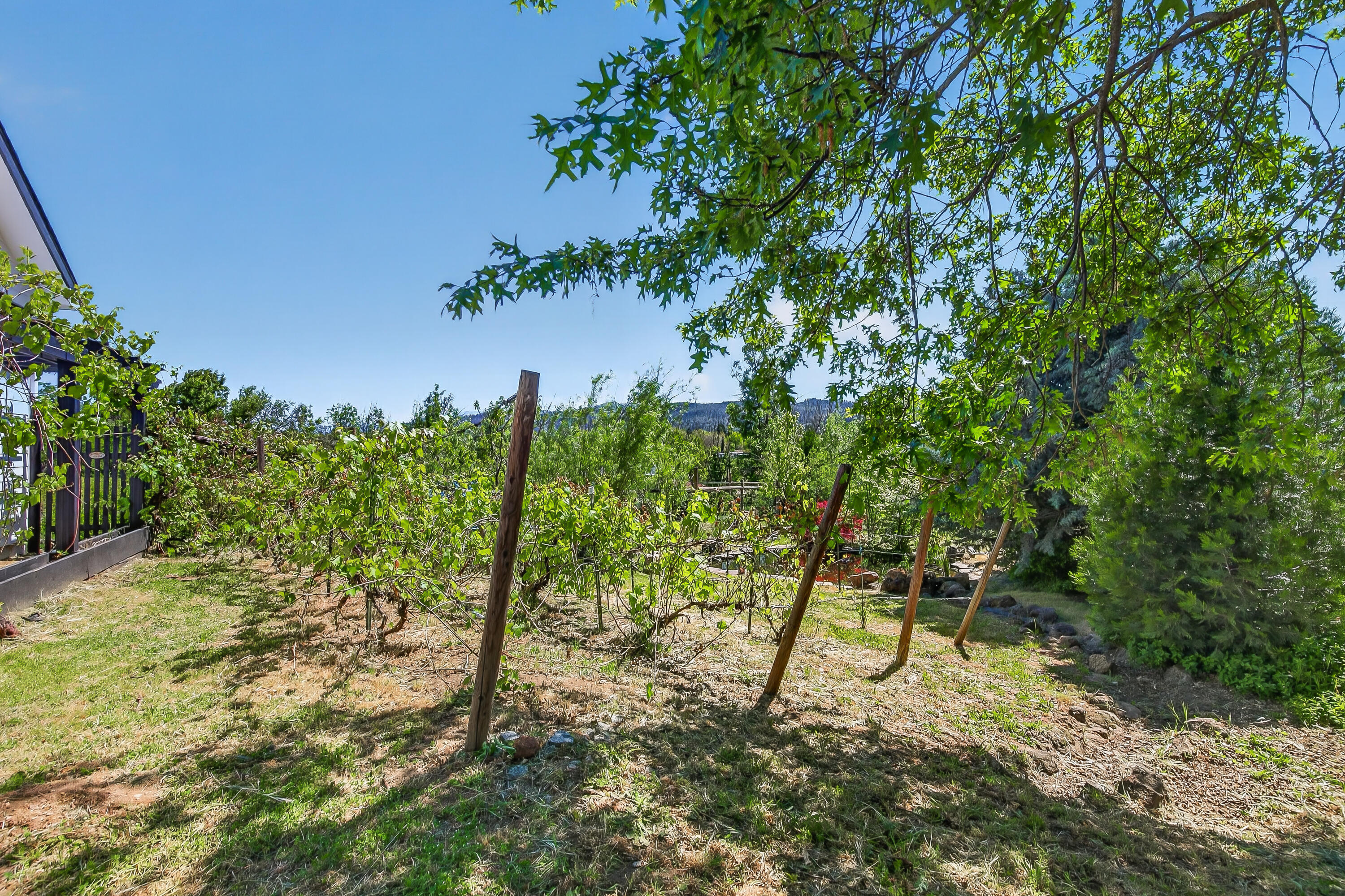 670 Old Stage Road Central Point, OR 97502 - Photo 59 of 79 9R9A7469
