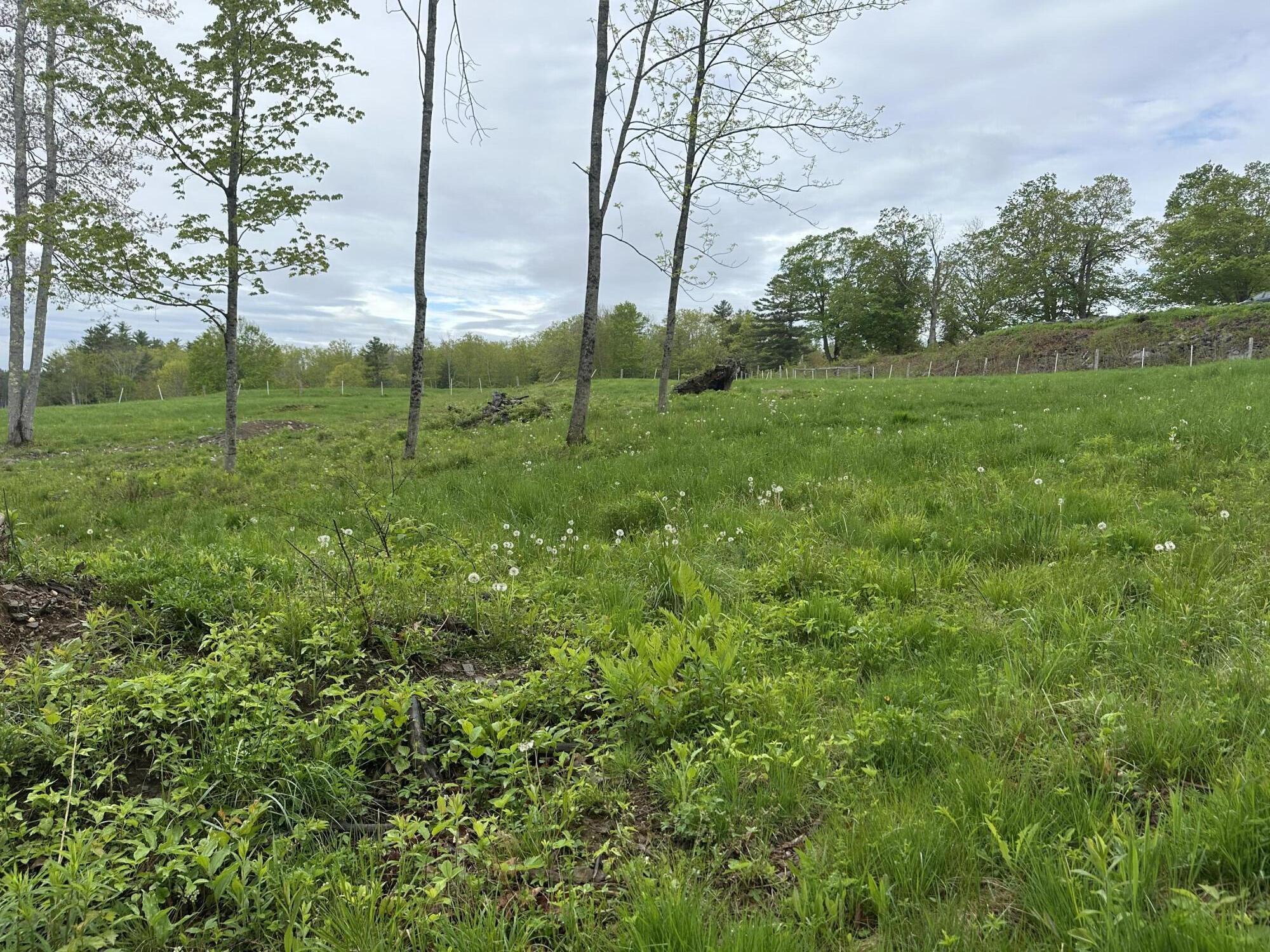 0 Heath Road Whitefield, ME 04353 - Photo 10 of 30 IMG_2159