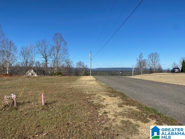 414 Stone Ridge, Unit 5 AND 6 Springville, AL 35146 - Photo 12 of 20