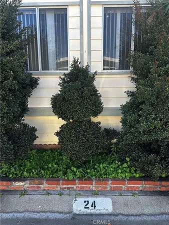 a view of a house with a yard and large tree and wooden fence