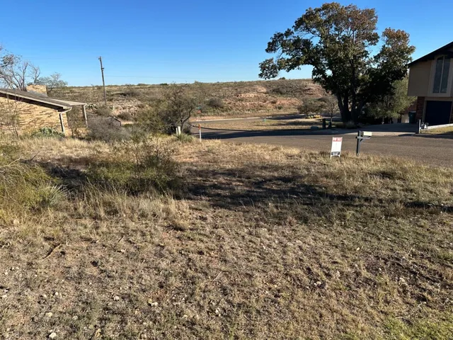 a view of a lake with a yard