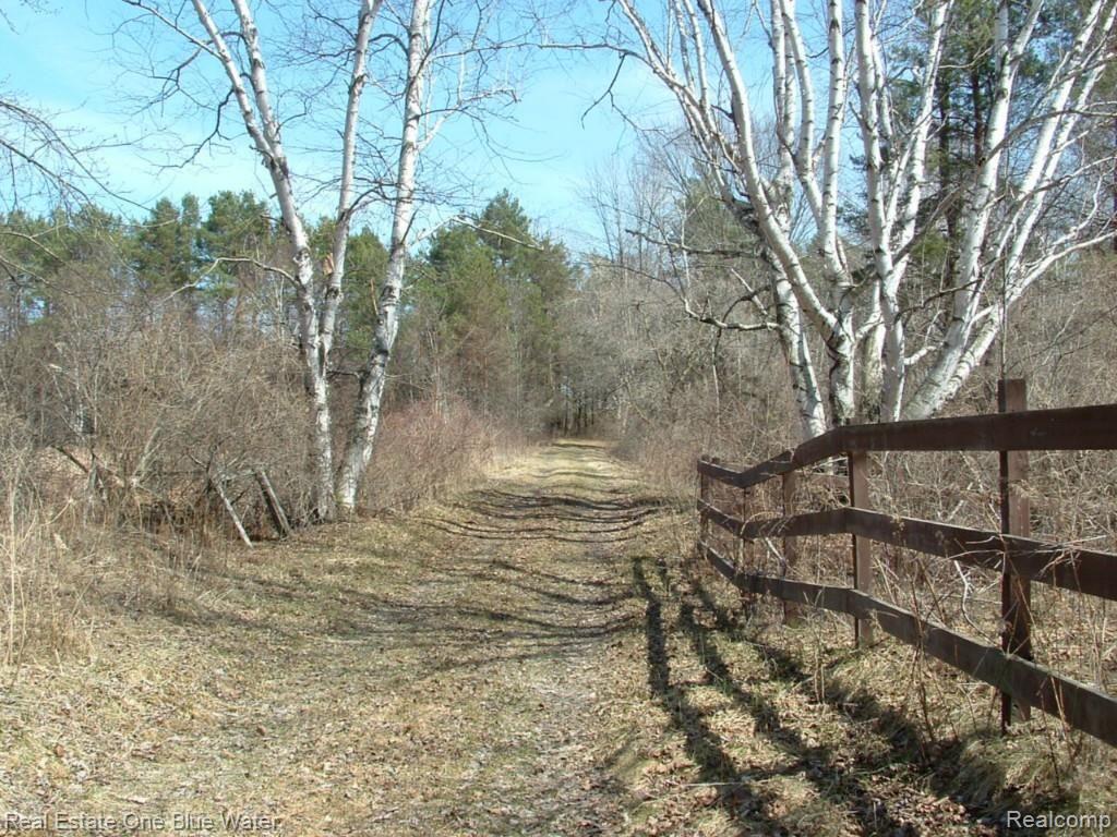 8790 State Road Fort Gratiot, MI 48059 - Photo 21 of 23 DSCF1469.jpg
