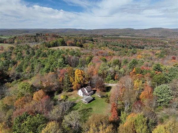 a view of a city with lush green forest