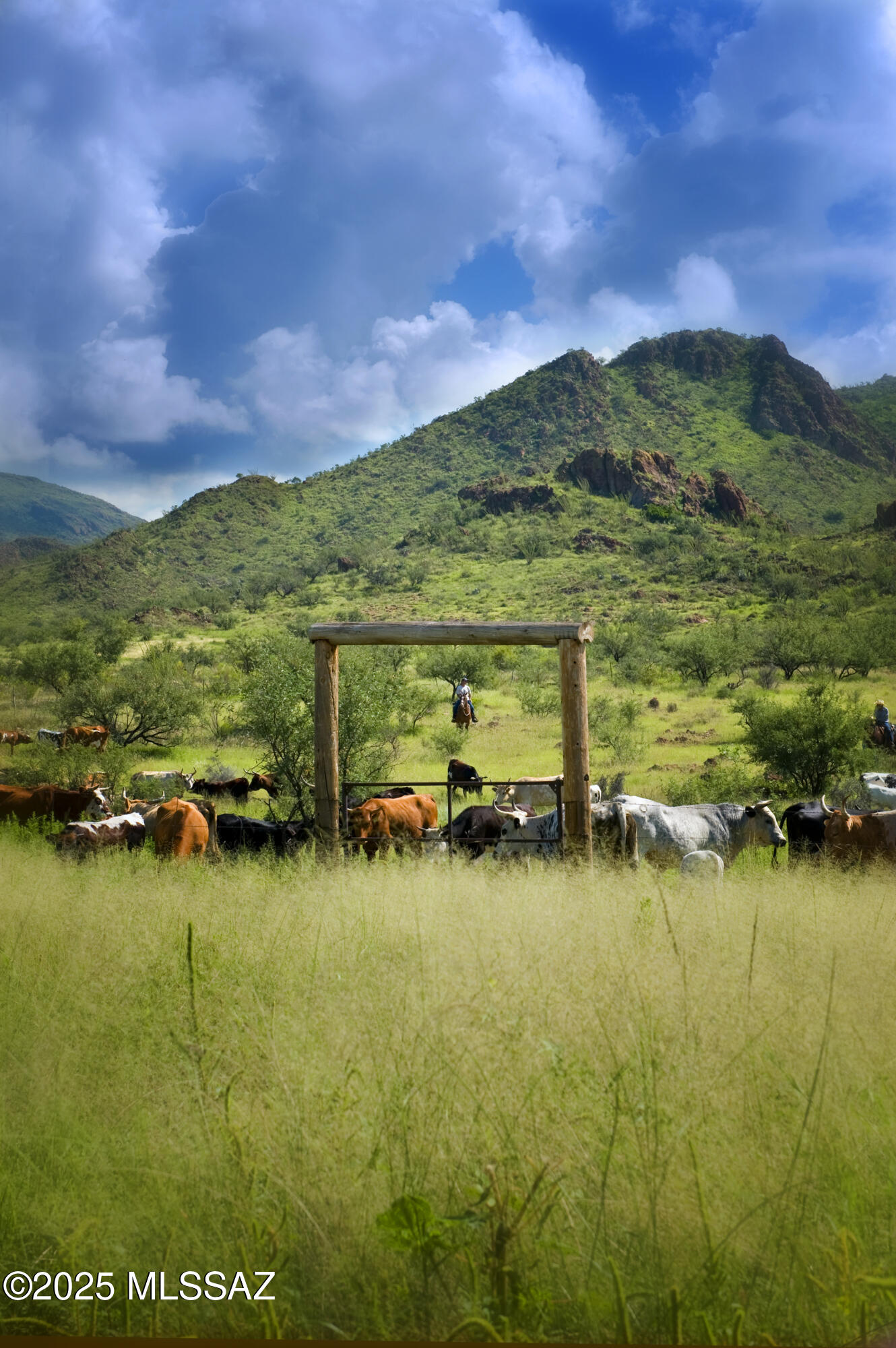 1265 Morning Star Drive Rio Rico, AZ 85648 - Photo 33 of 50
