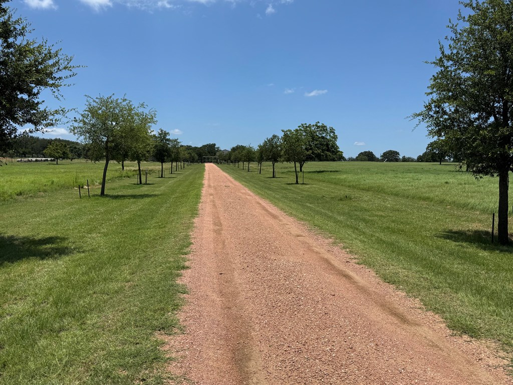 772 Luckenbach Road Fredericksburg, TX 78624 - Photo 72 of 87