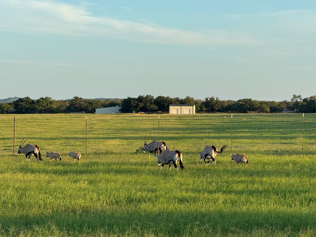 772 Luckenbach Road Fredericksburg, TX 78624 - Photo 75 of 87 a view of a lake with houses in background