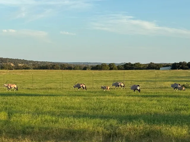 $2,995,000 | 772 Luckenbach Road, Fredericksburg, TX 78624