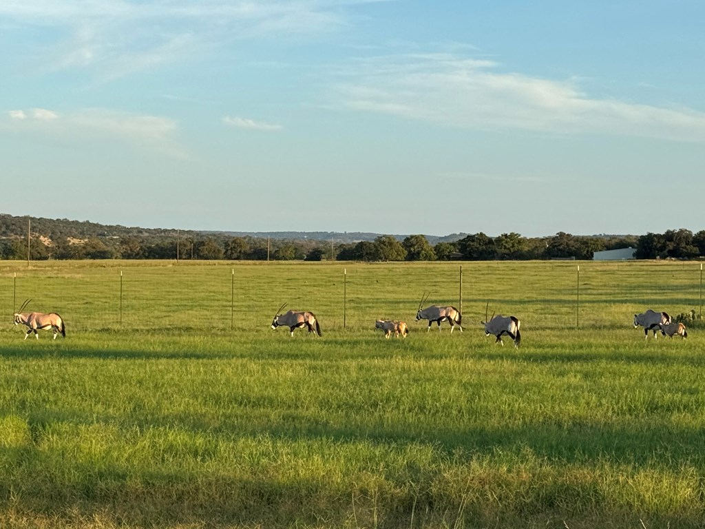 772 Luckenbach Road Fredericksburg, TX 78624 - Photo 76 of 87 a view of a lake with houses in back