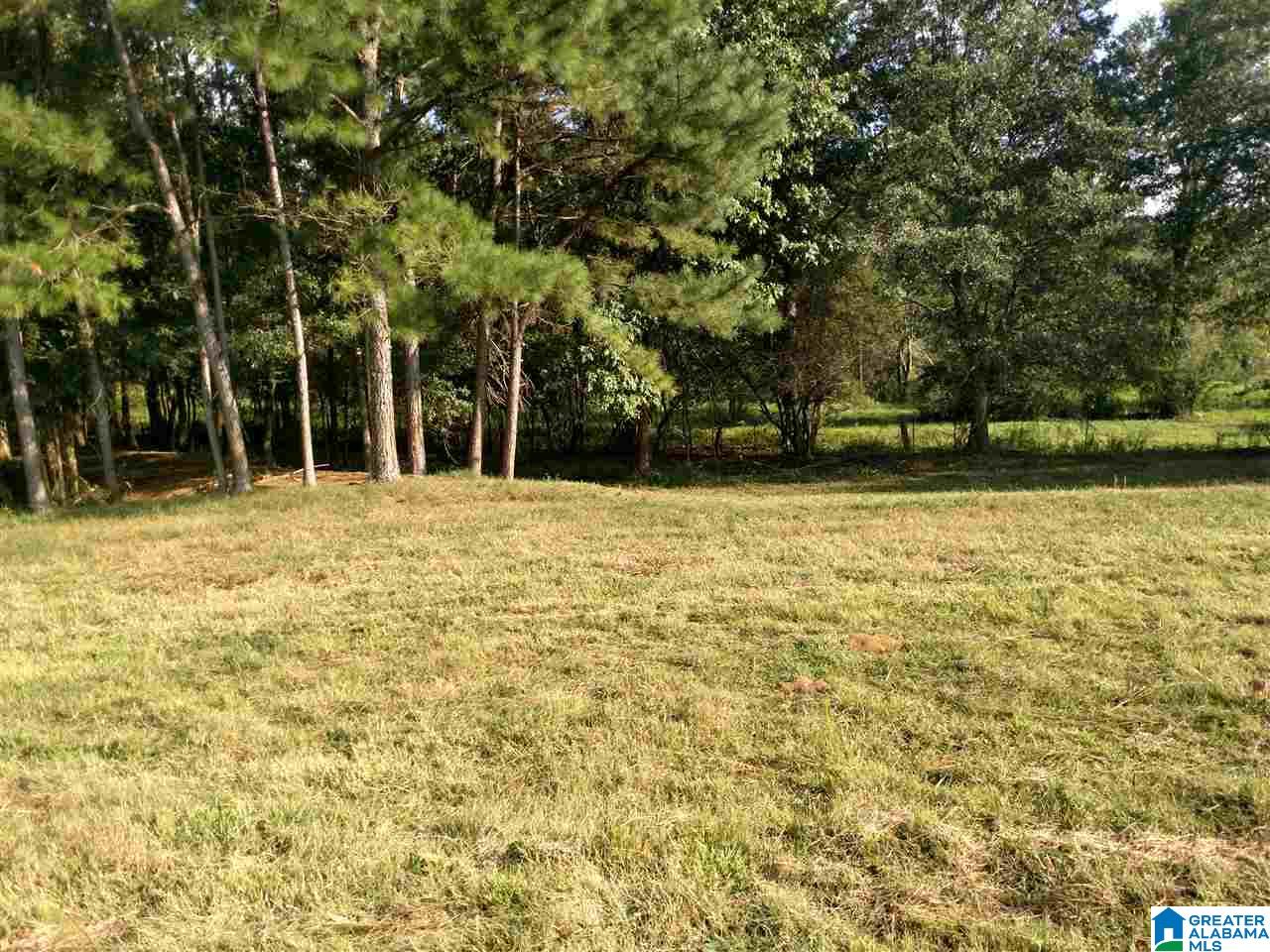 13626 Highway 160 Cleveland, AL 35049 - Photo 24 of 28