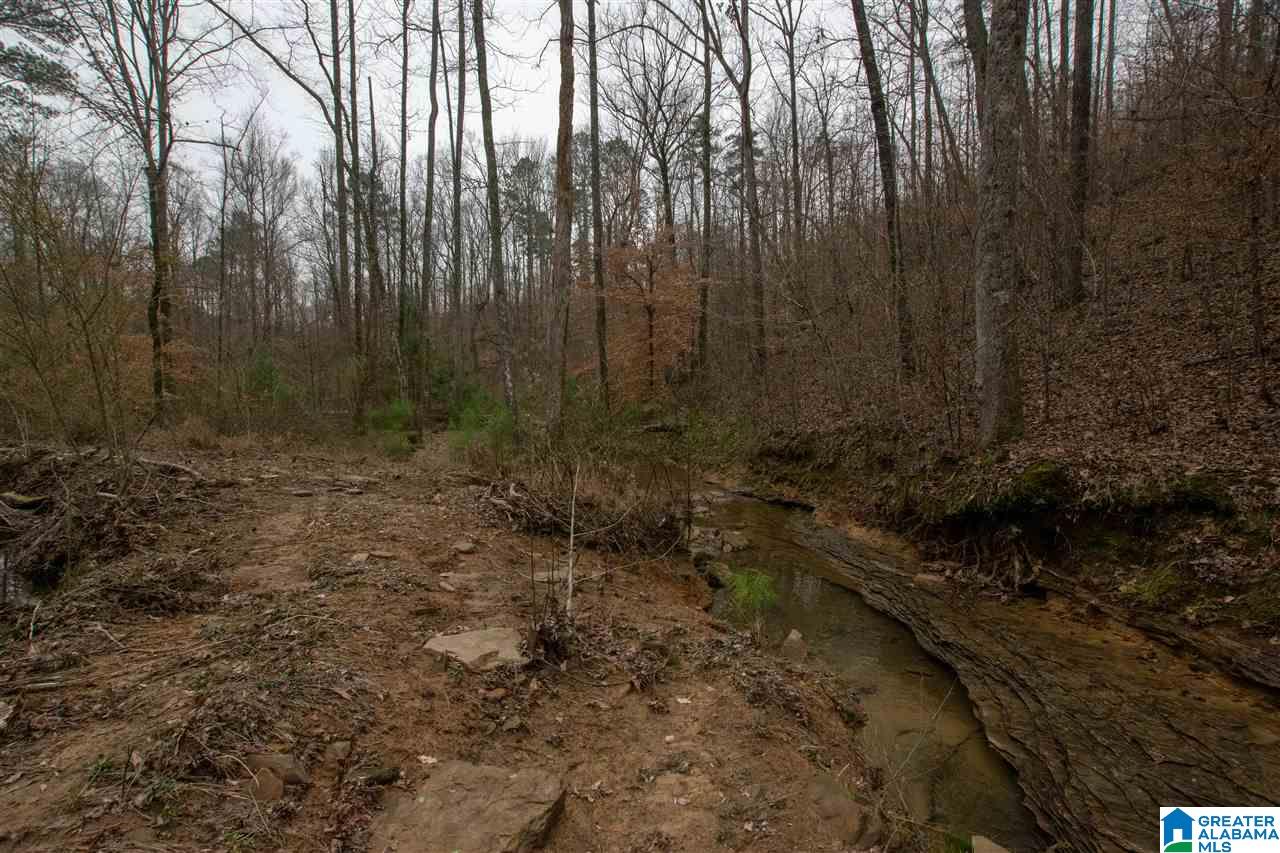 1055 Ranger Trail Warrior, AL 35180 - Photo 21 of 32