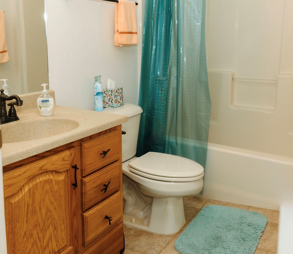 837 River Forest Run Cleveland, GA 30528 - Photo 18 of 33