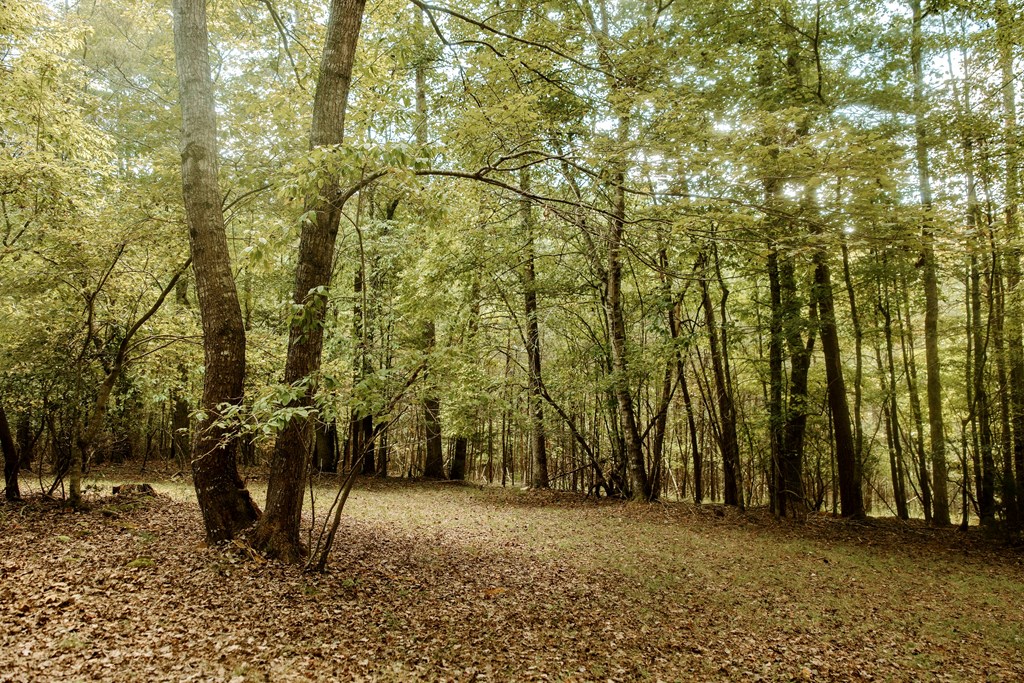 837 River Forest Run Cleveland, GA 30528 - Photo 27 of 33