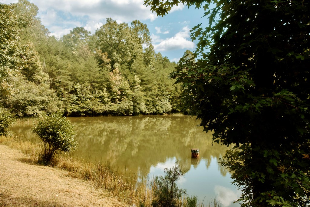 837 River Forest Run Cleveland, GA 30528 - Photo 28 of 33