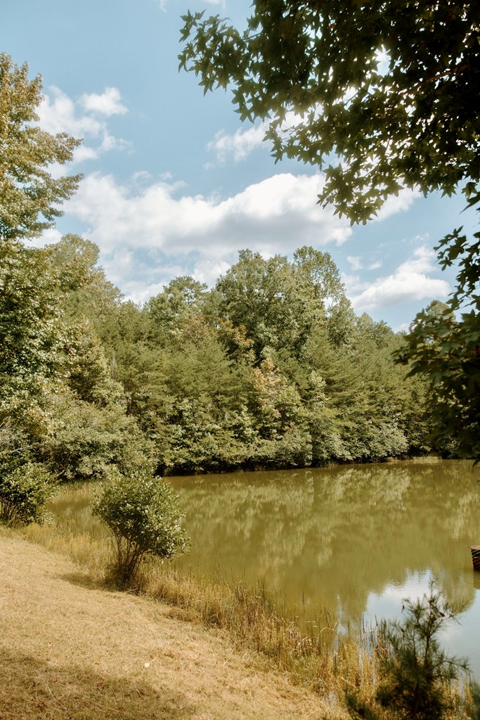 837 River Forest Run Cleveland, GA 30528 - Photo 29 of 33