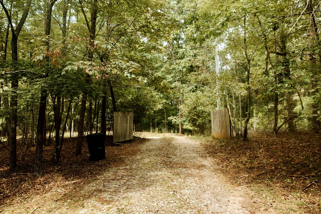 837 River Forest Run Cleveland, GA 30528 - Photo 30 of 33