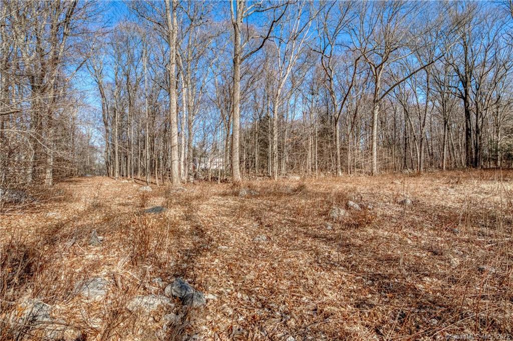 1225 B Durham Road Madison, CT 06443 - Photo 1 of 1