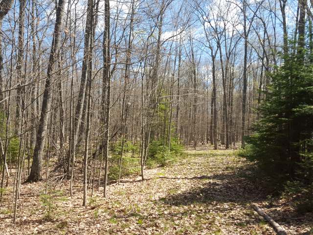 Lot 4 West Carpenter Lake Road Eagle River, WI 54521 - Photo 14 of 20 Gallery Image 14