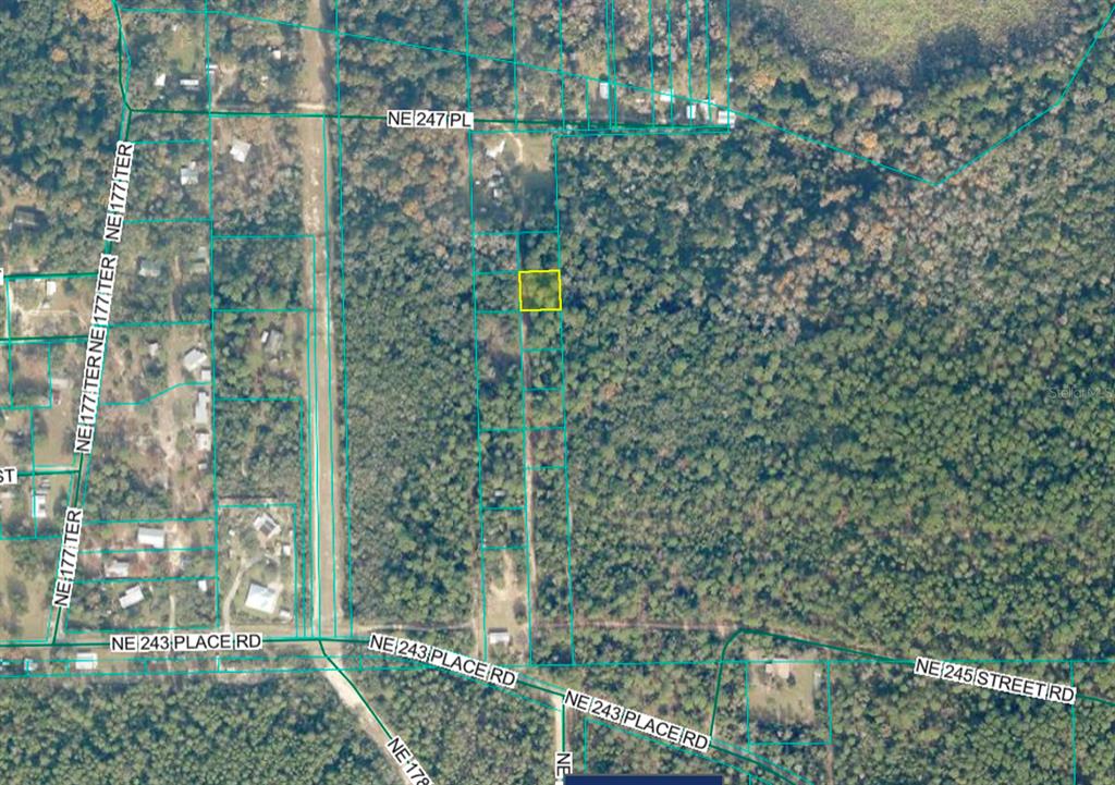 Tbd Tbd Fort McCoy, FL 32134 - Photo 1 of 2