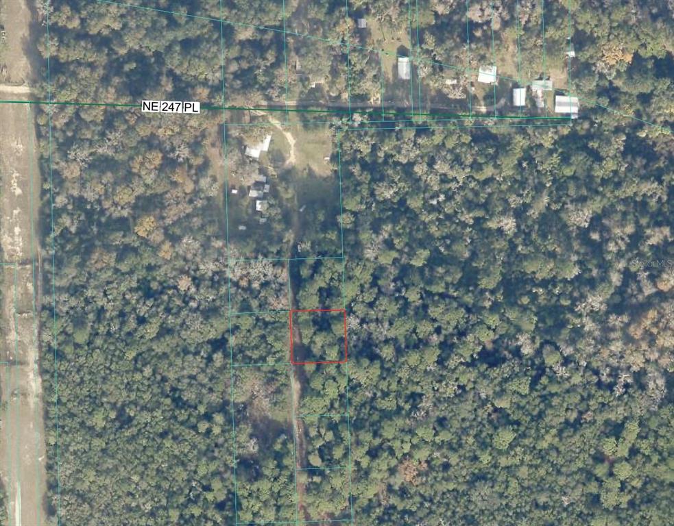 Tbd Tbd Fort McCoy, FL 32134 - Photo 2 of 2