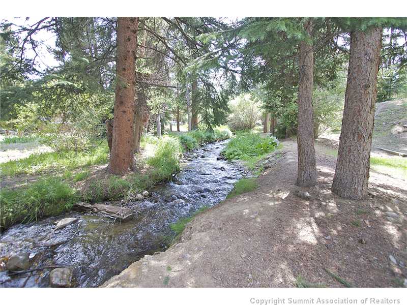 120 Sawmill Road, Unit 207 Breckenridge, CO 80424 - Photo 11 of 12 Yard/Garden.