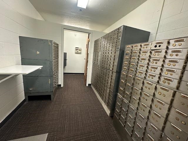 31 Central Boulevard Babbitt, MN 55706 - Photo 6 of 14 Hall with concrete block wall, mail area, and dark carpet