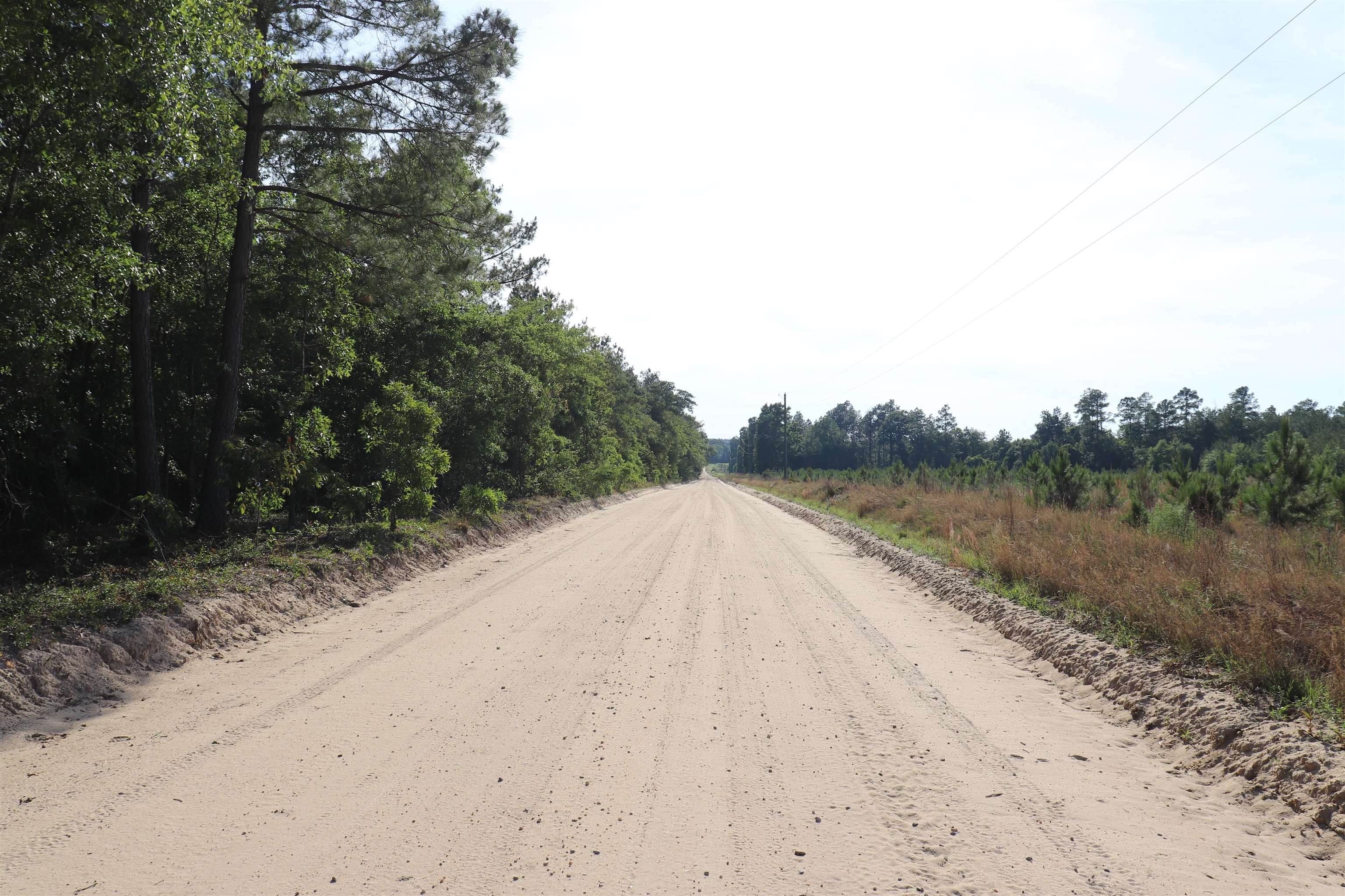2631 Charlie Johnson Road Bethune, SC 29009 - Photo 6 of 29