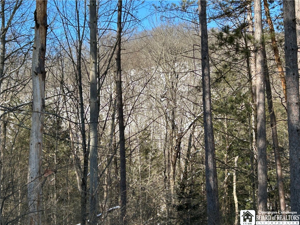 2031 Wolf Creek Road Clarksville, NY 14727 - Photo 29 of 33