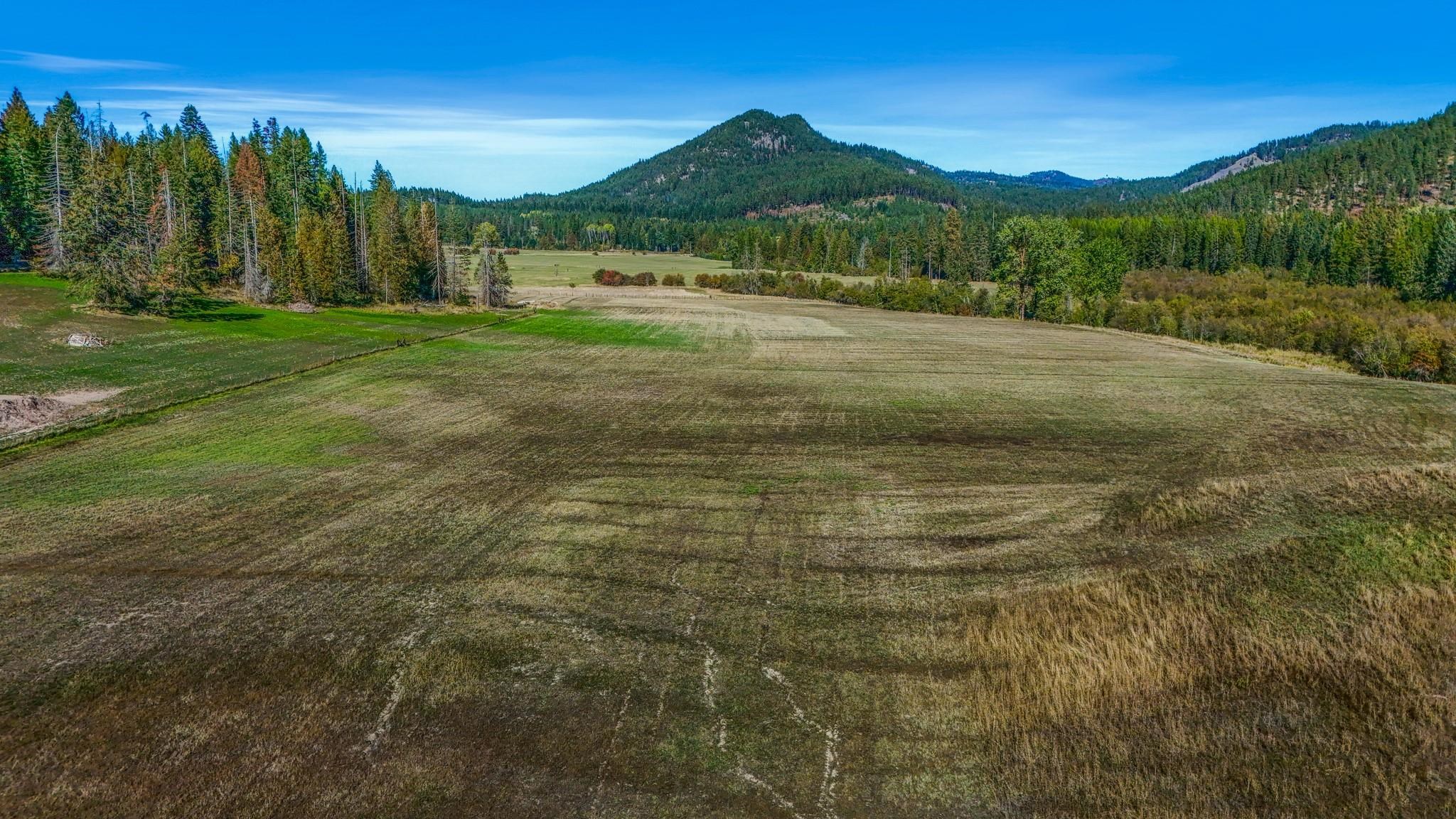 351 Skookum Creek Road Usk, WA 99180 - Photo 17 of 20