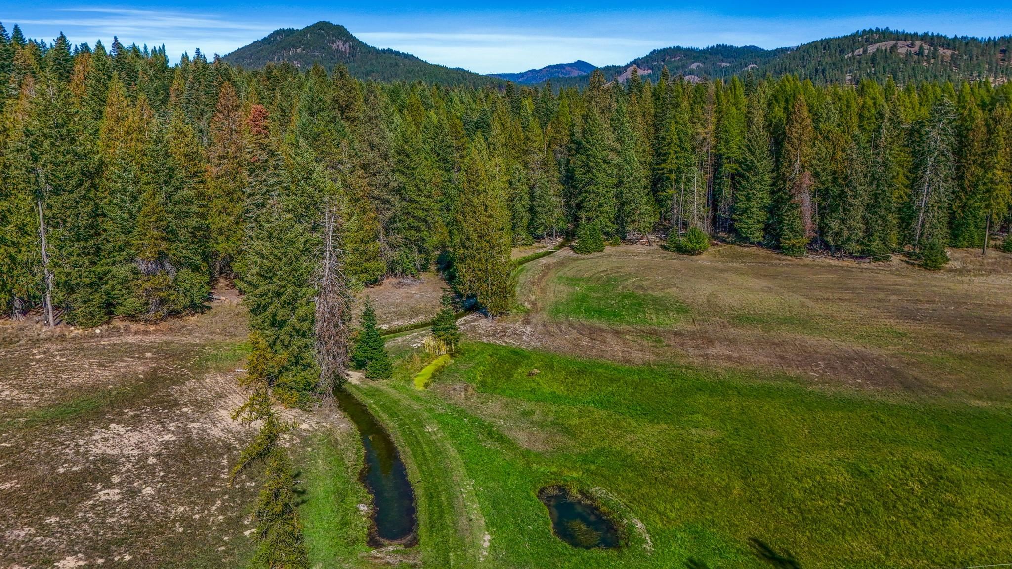 351 Skookum Creek Road Usk, WA 99180 - Photo 18 of 20