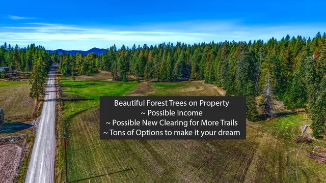 $2,000,000 | 351 Skookum Creek Road, Usk, WA 99180