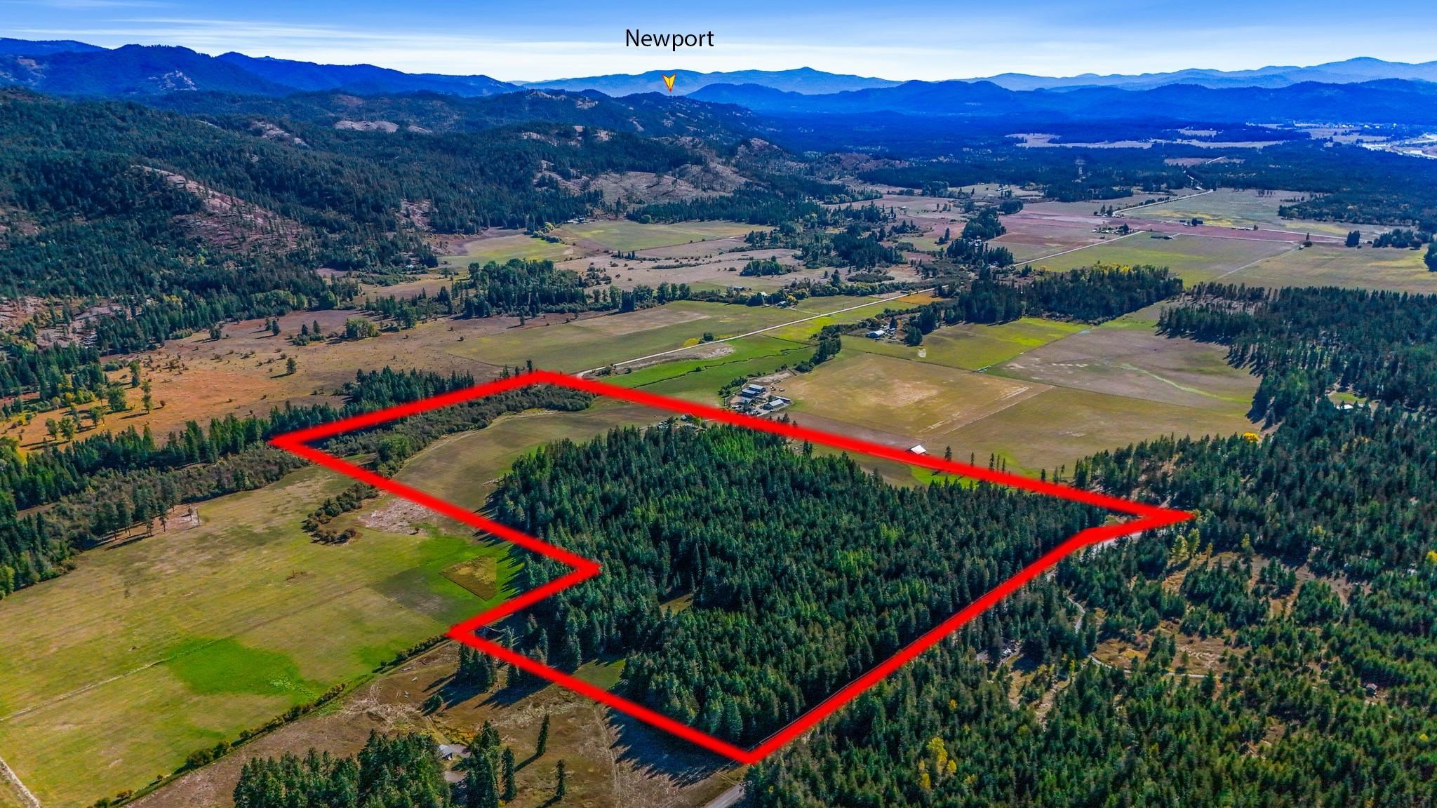 351 Skookum Creek Road Usk, WA 99180 - Photo 9 of 20