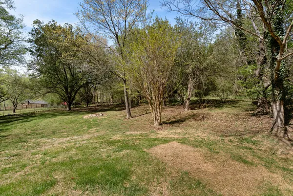 a view of yard with tree