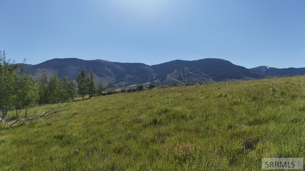 1398 Mogul Lane Inkom, ID 83245 - Photo 28 of 33