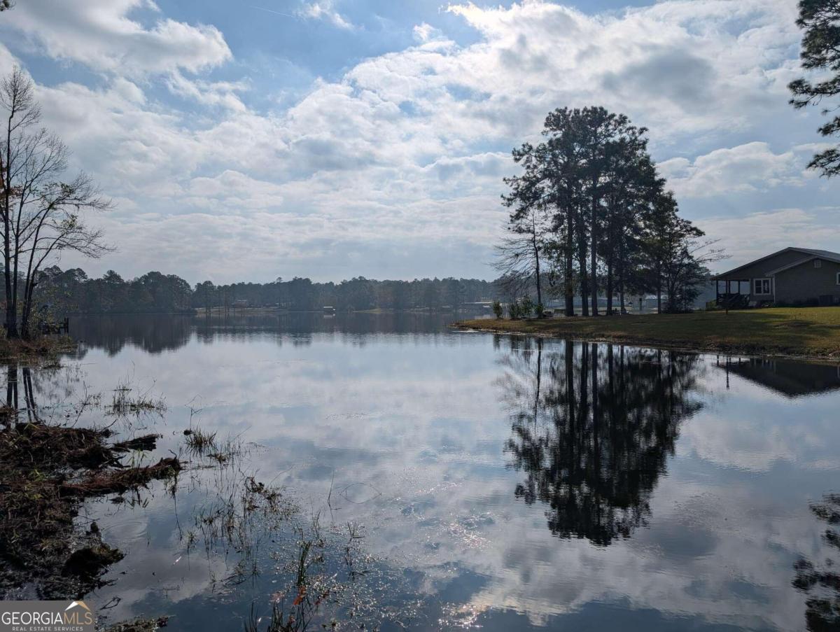 607 Gene Bland Road Jesup, GA 31545 - Photo 1 of 1 a view of lake with green space