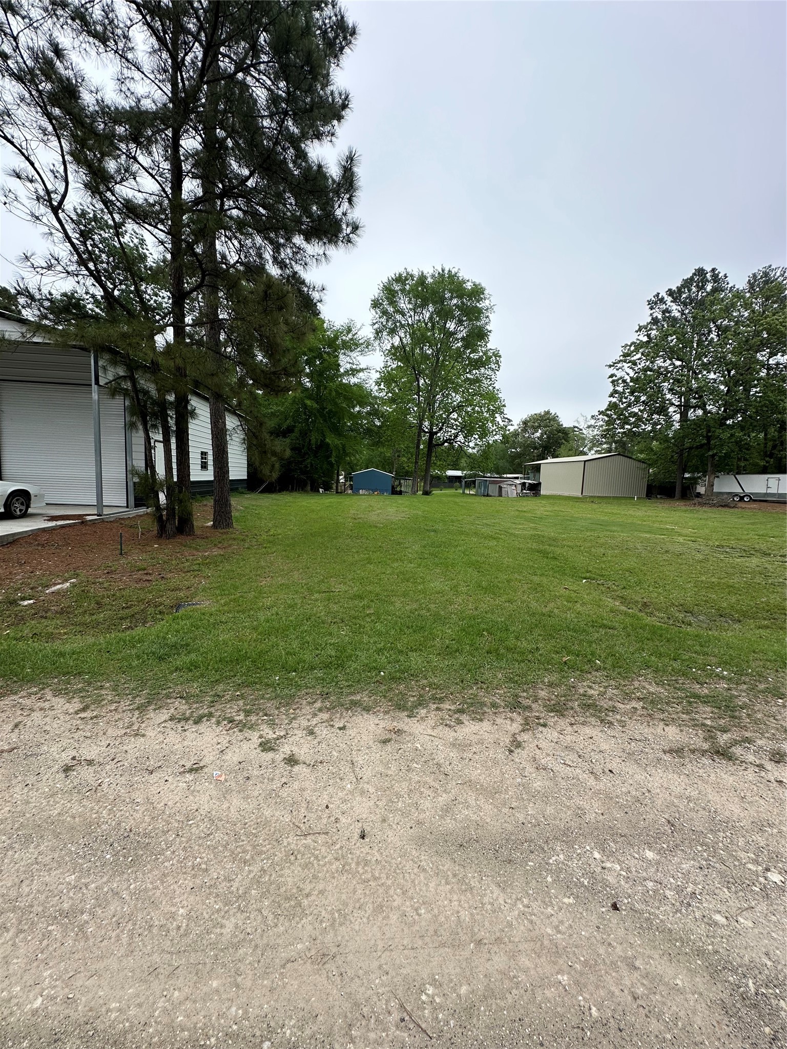 180 Holly Trail Trinity, TX 75862 - Photo 6 of 6