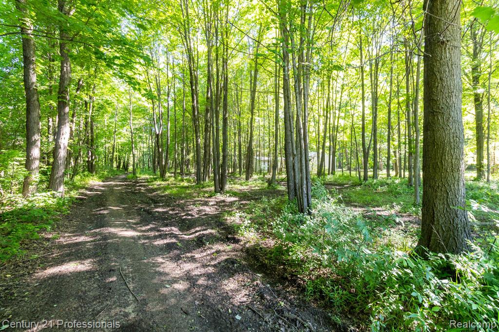 40840 Harris Road Belleville, MI 48111 - Photo 41 of 45