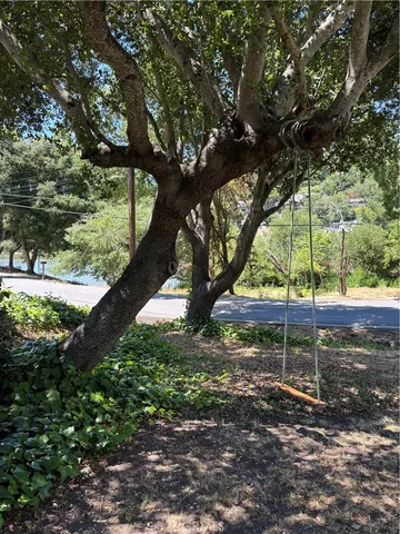 a view of a park with large trees