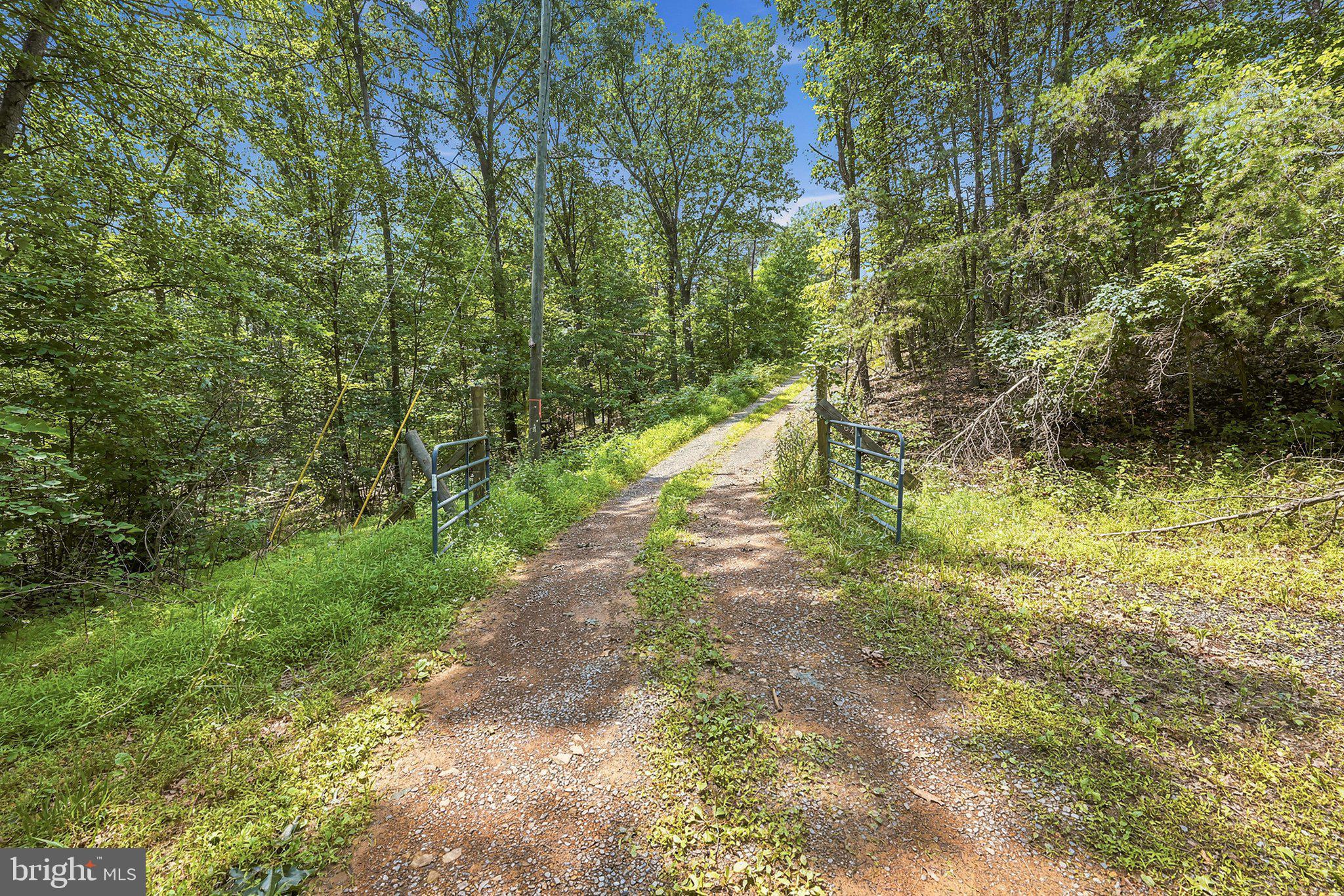 464 Belle Hollow Estates Road Augusta, WV 26704 - Photo 2 of 17 Driveway at end of Belle Hollow Estates