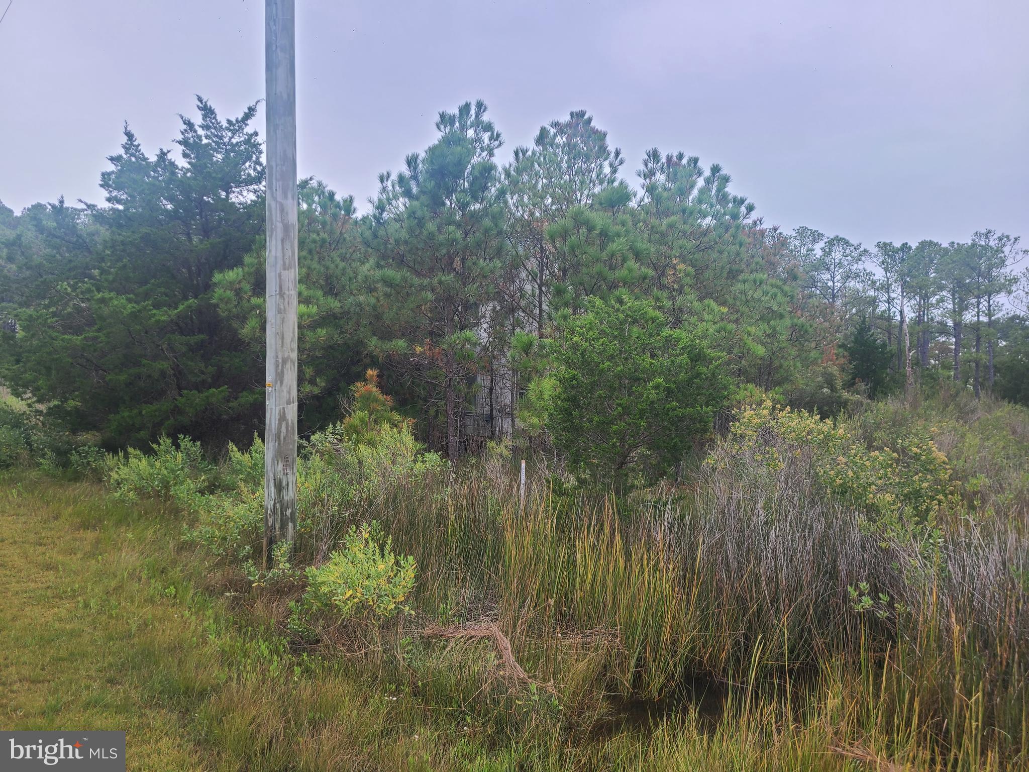 1736 Crocheron Road Toddville, MD 21672 - Photo 2 of 11 Current side view