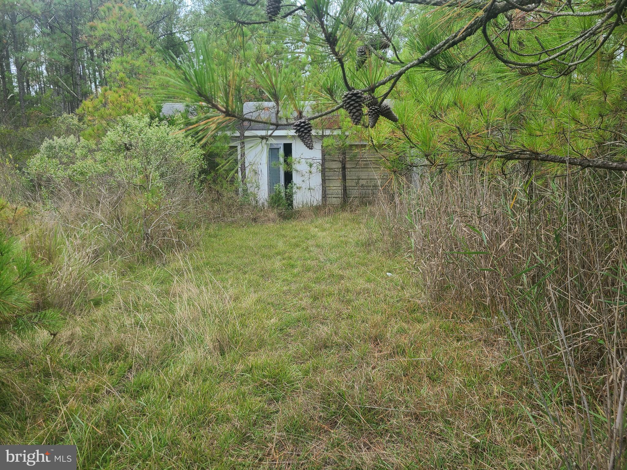 1736 Crocheron Road Toddville, MD 21672 - Photo 3 of 11 Current Garage View