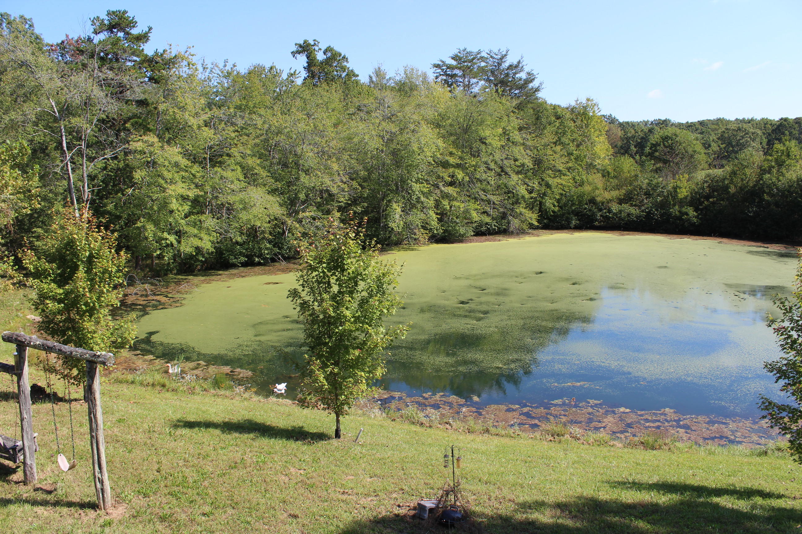 1106 Woodlawn Road Jamestown, TN 38556 - Photo 9 of 23 009