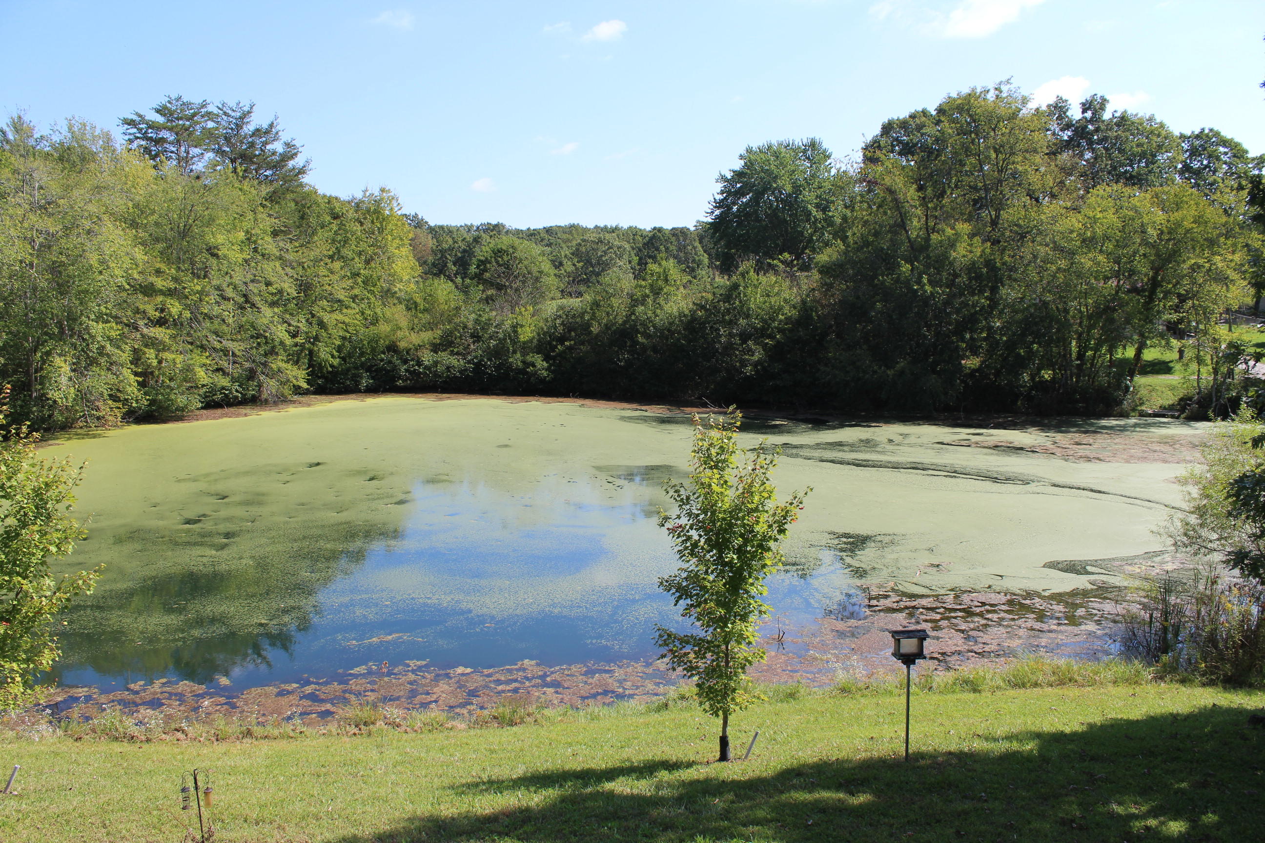1106 Woodlawn Road Jamestown, TN 38556 - Photo 10 of 23 010